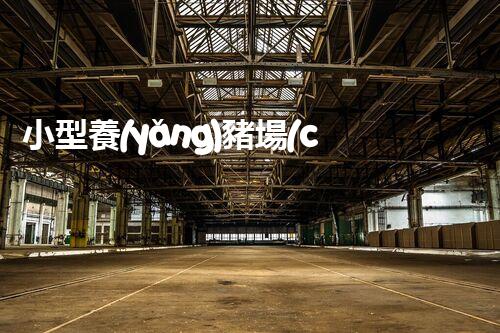 小型養(yǎng)豬場(chǎng)廢水處理設(shè)備的環(huán)保革命？答案在那個(gè)地點(diǎn)！